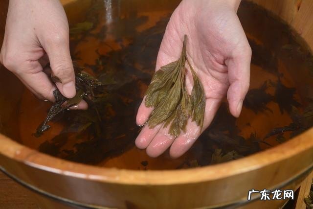 艾草泡脚有什么保健作用适合什么人群有什么注意事项