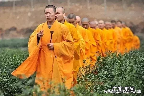 生活条件越来越好,可现在的人幸福指数越来越低,为啥?