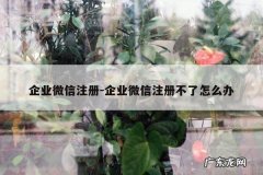 企业微信注册-企业微信注册不了怎么办
