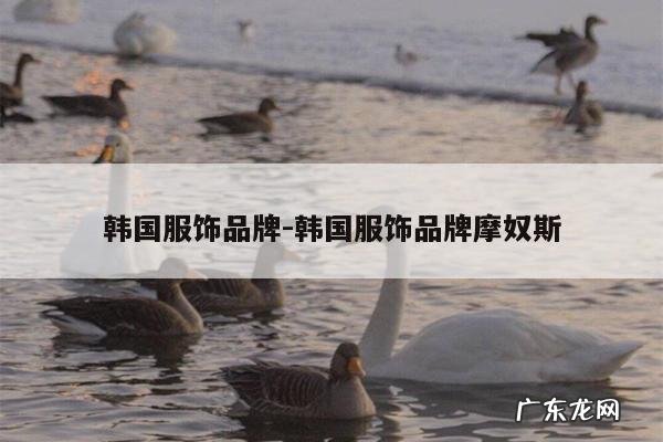 韩国服饰品牌-韩国服饰品牌摩奴斯