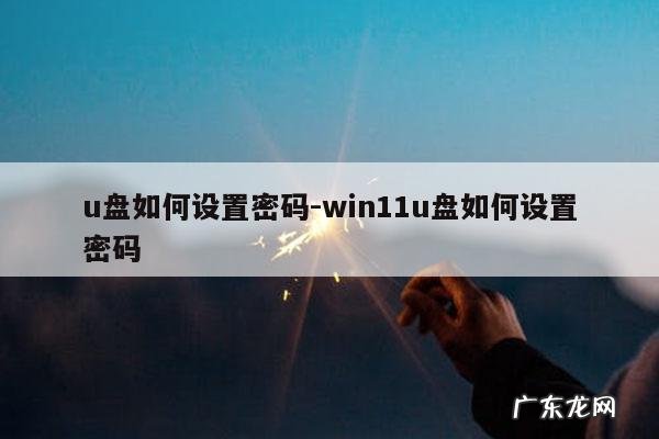 u盘如何设置密码-win11u盘如何设置密码