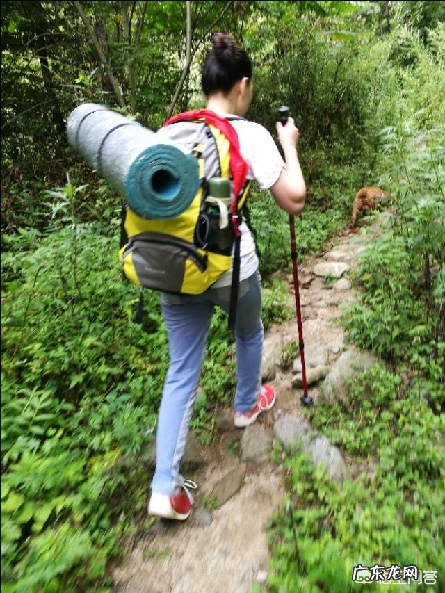 药物对抑郁症有多大的作用?