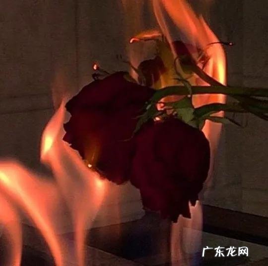 女生最容易变成什么样子 女生可以学习什么新技能