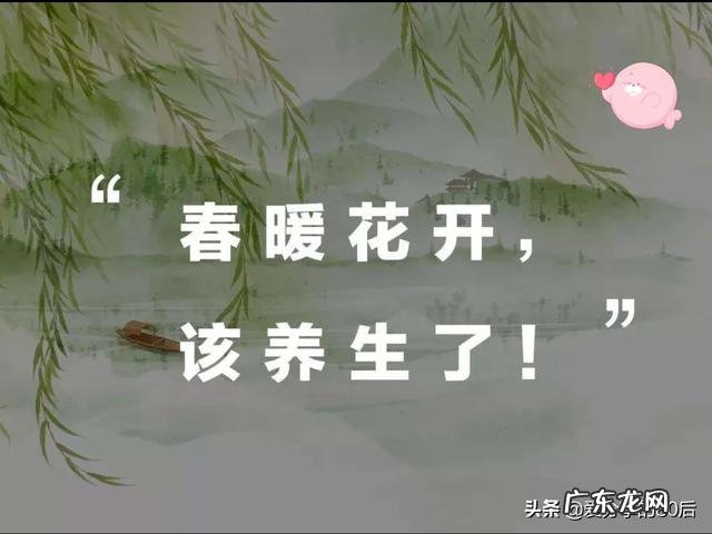 刮痧和拔火罐哪个效果更好