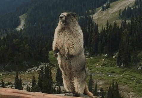 广东人的福音：减肥时可以吃肠粉啦，但是要注意方法