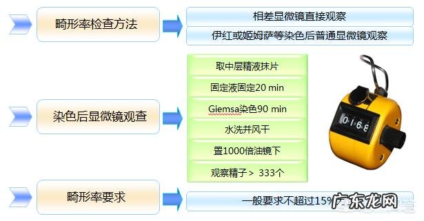 备孕期间的男人需要吃含锌硒的东西吗?应该吃什么?