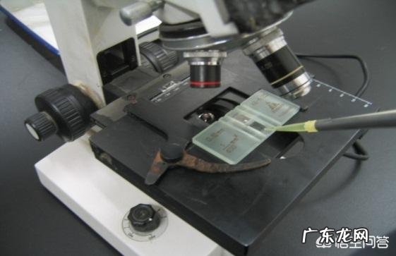 备孕期间的男人需要吃含锌硒的东西吗?应该吃什么?