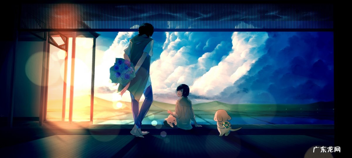 吃了减肥药会引起肾功能衰竭吗