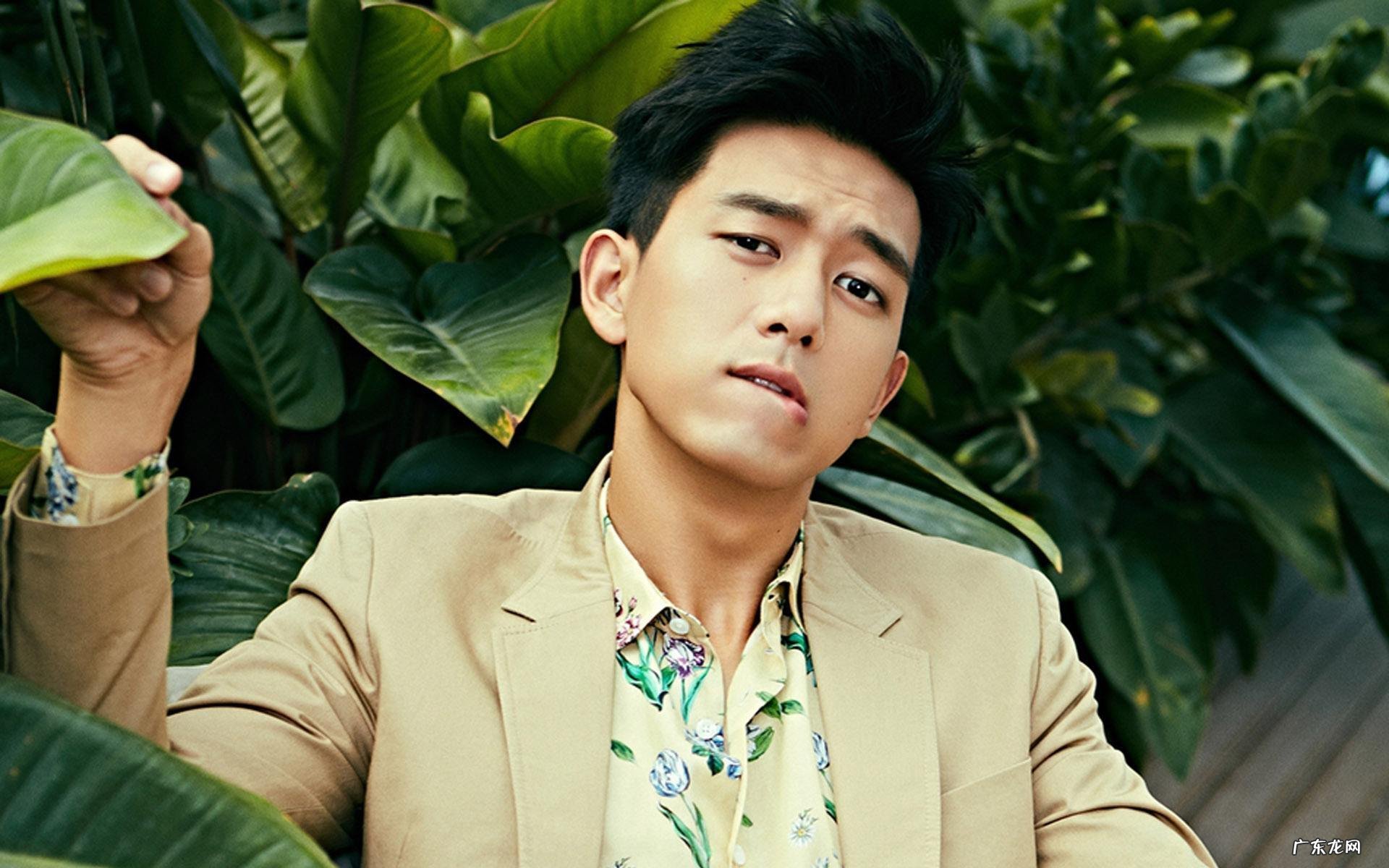 可可粉热量高吗、真能减肥吗