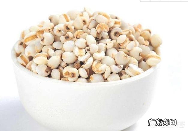 薏米、茯苓、苦荞麦一起煮汤喝能减肥祛湿吗