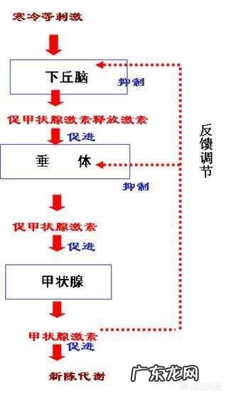 有知道什么好的瘦身方法吗？