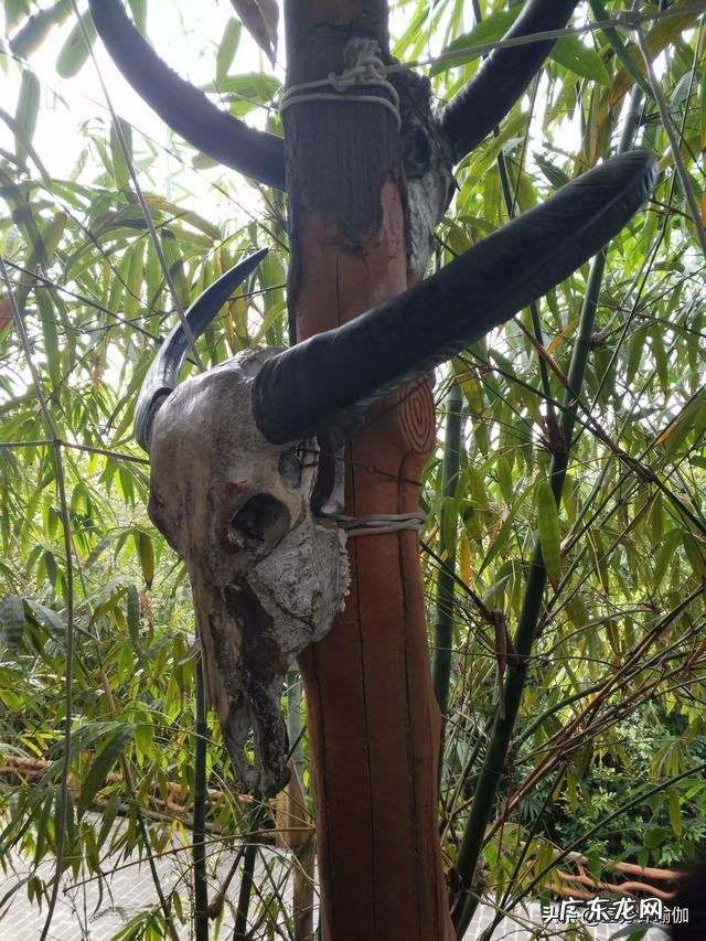 谁有七天不吃东西只喝水减肥成功的吗能说下当时的体验感受吗