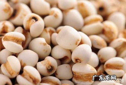 薏米山楂陈皮泡水有什么功效