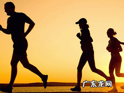 网传能一月瘦20斤的苦瓜苹果汁真的能减肥吗