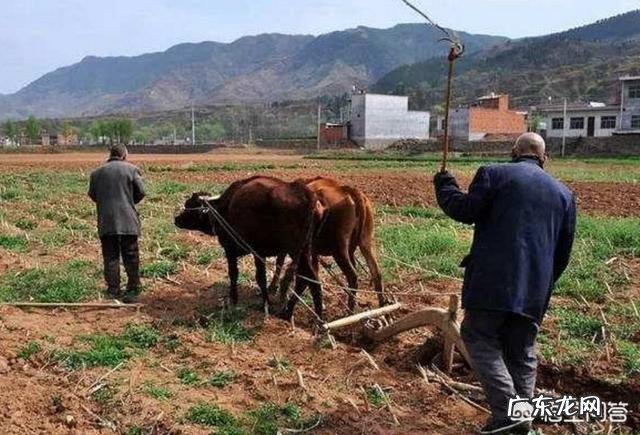 在农村立秋当天，最忌讳什么