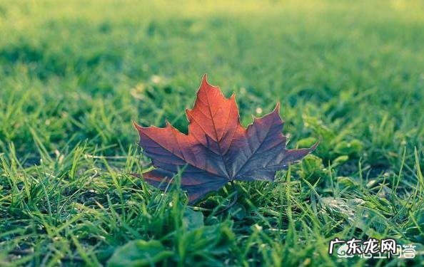 在农村立秋当天，最忌讳什么