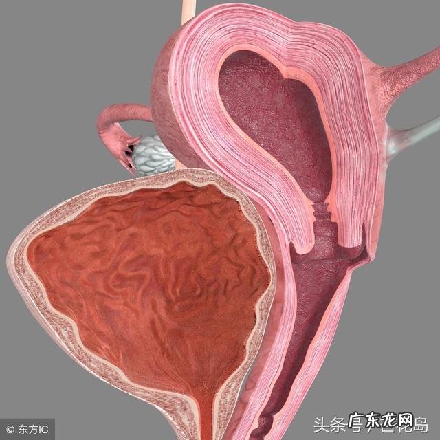 导致月经量少的原因有哪些?
