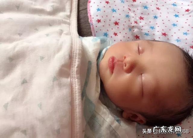 “荷叶”可以减脂刮油,产后妈妈可以用吗真的一个月减30斤吗