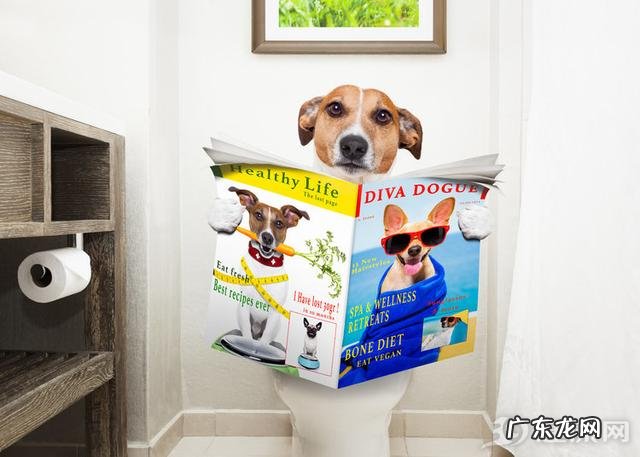 肝火旺有什么症状吗?如果去养肝护肝?