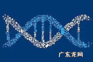 诸位亲,基因8号染色体缺失,但是只是缺失一点点,问题大吗?