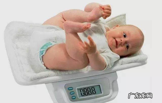 POUCH育儿专家解析｜婴儿多重才正常？体重增长标准是多少？