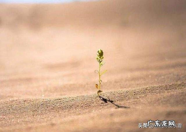 怎么反驳“没有惊喜,没有意外”这句话?