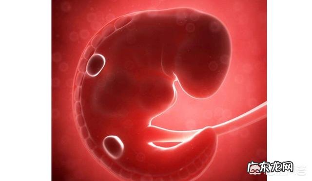 怀孕6周,在不知道的情况下感冒挂水,孩子能要吗,有哪些影响吗