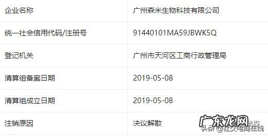 创始人跑路,销声匿迹的森米成了“集团公司”?真相来了
