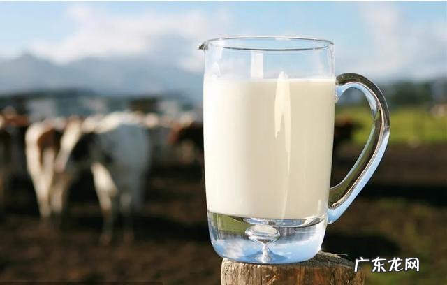喝牛奶还能减肥注意这几个原则,让你越喝越瘦
