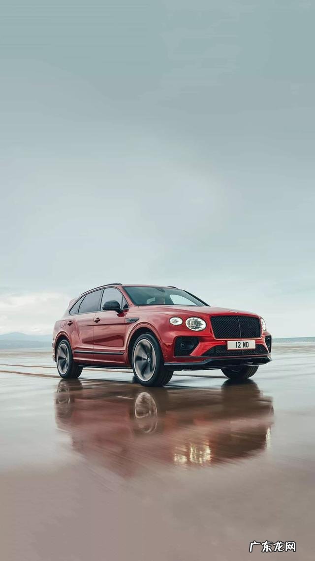 你知道的今年最火的句子有哪些