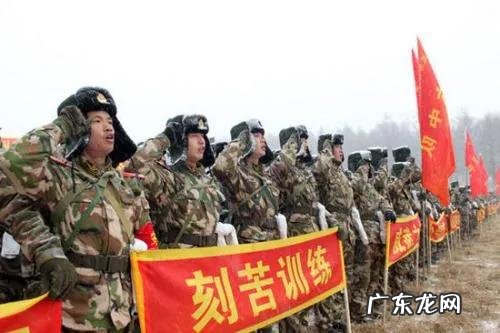 大专去当兵跟定向士官哪个更适合发展?