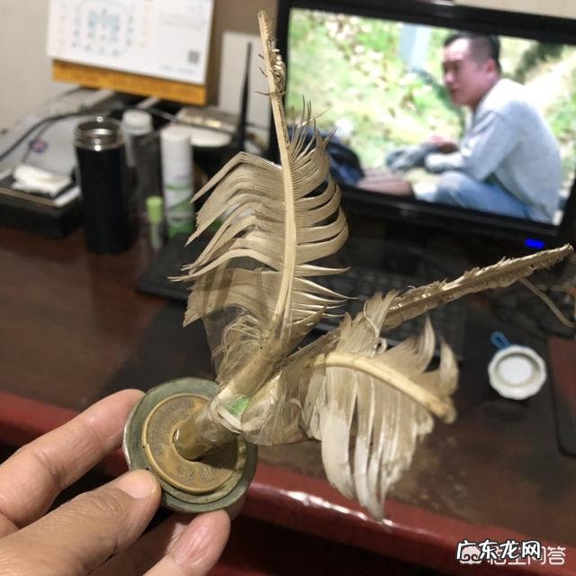 减肥进入平台期一个月了,体重一直不减,应该怎么办