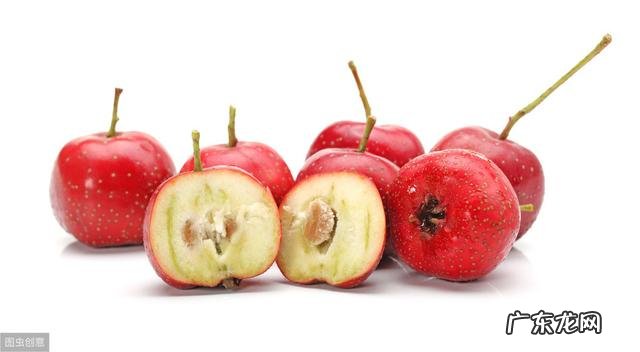 窈窕淑女，君子好逑，详解9大热门减肥中药