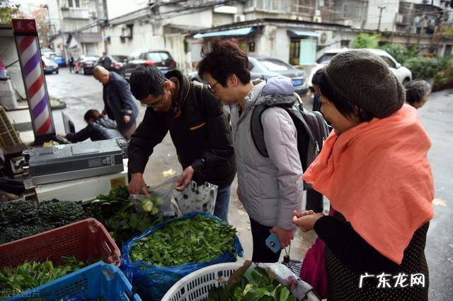 去过香港的朋友,说一说在香港的感受如何?