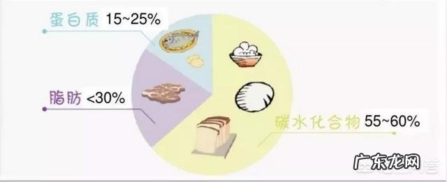 一个成年人每餐正常的饭量是多少？