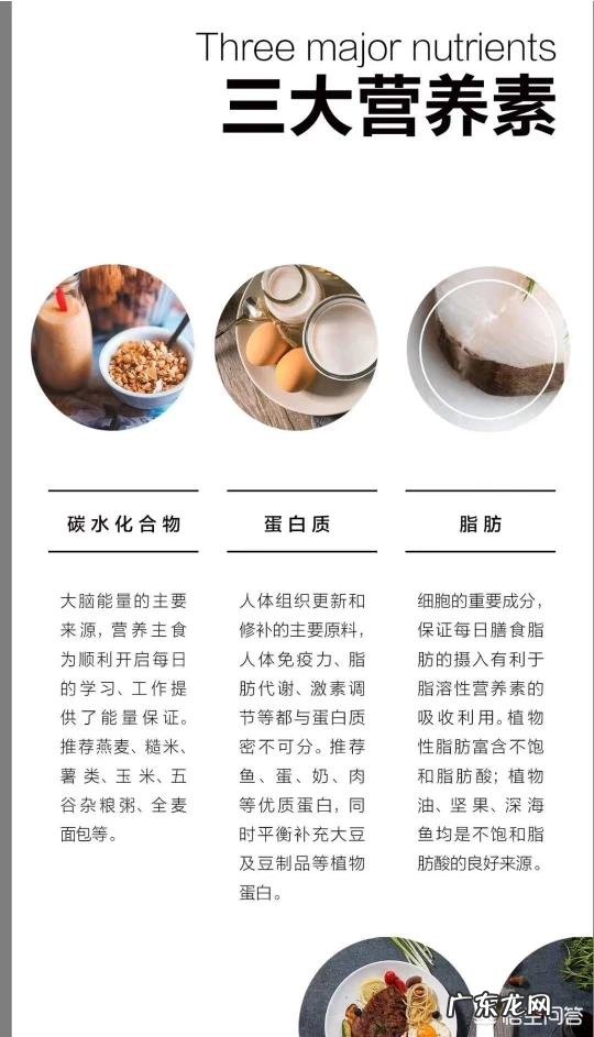 一个成年人每餐正常的饭量是多少？
