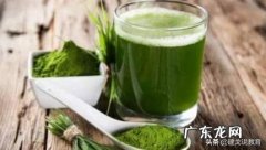 当下很火的日本青汁真的很好吗