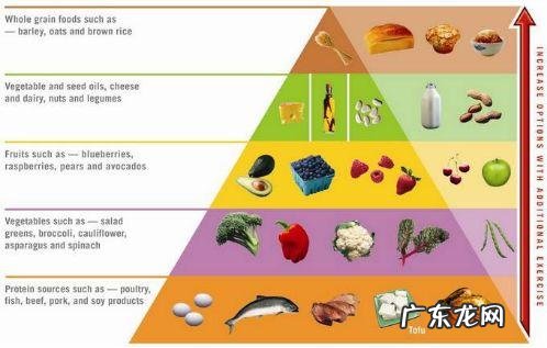 是谁给的勇气信这些网红饮食减肥法?是肥肉本肉吗