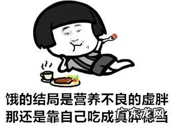 是谁给的勇气信这些网红饮食减肥法?是肥肉本肉吗