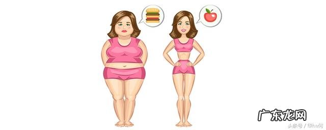 酵素不是减肥药,改善体型,健康是前提!