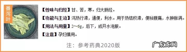 12款热门酵素评测:酵素真的能减肥可以润肠通便吗