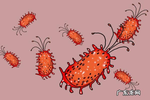 每天洗屁屁有危害吗 你会每天坚持洗屁屁吗有何好处