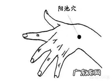 手脚冰凉,脸色苍白,有什么不花钱的方法改善体质吗?