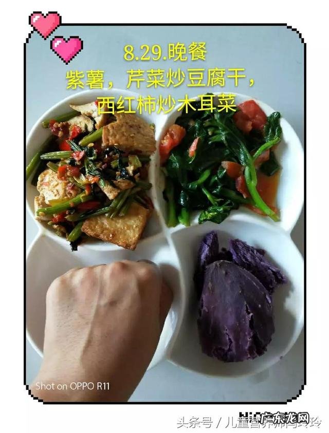 减肥配餐范例第3天:减脂期一日三餐的比例是什么样的