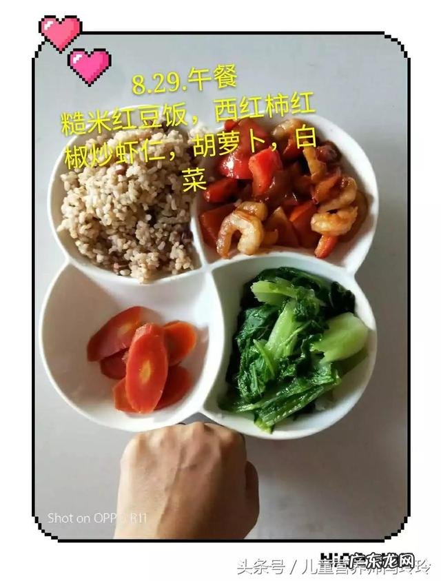 减肥配餐范例第3天:减脂期一日三餐的比例是什么样的