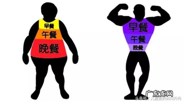 减肥配餐范例第3天:减脂期一日三餐的比例是什么样的