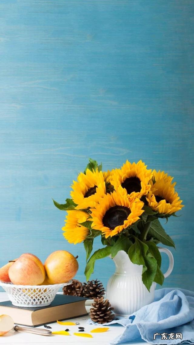 你怎样看待40岁或者50岁左右还在追星的妈妈粉