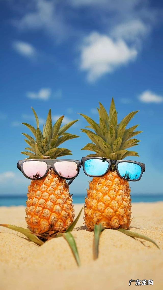 你怎样看待40岁或者50岁左右还在追星的妈妈粉