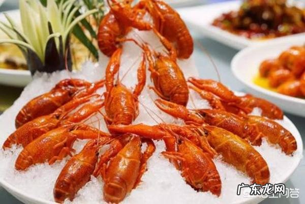 地球上寿命最长的生物是什么?