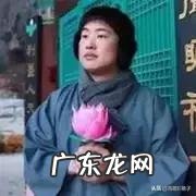 E姐领衔美少女们来分享双十一购物车了，我们的手已经不好了